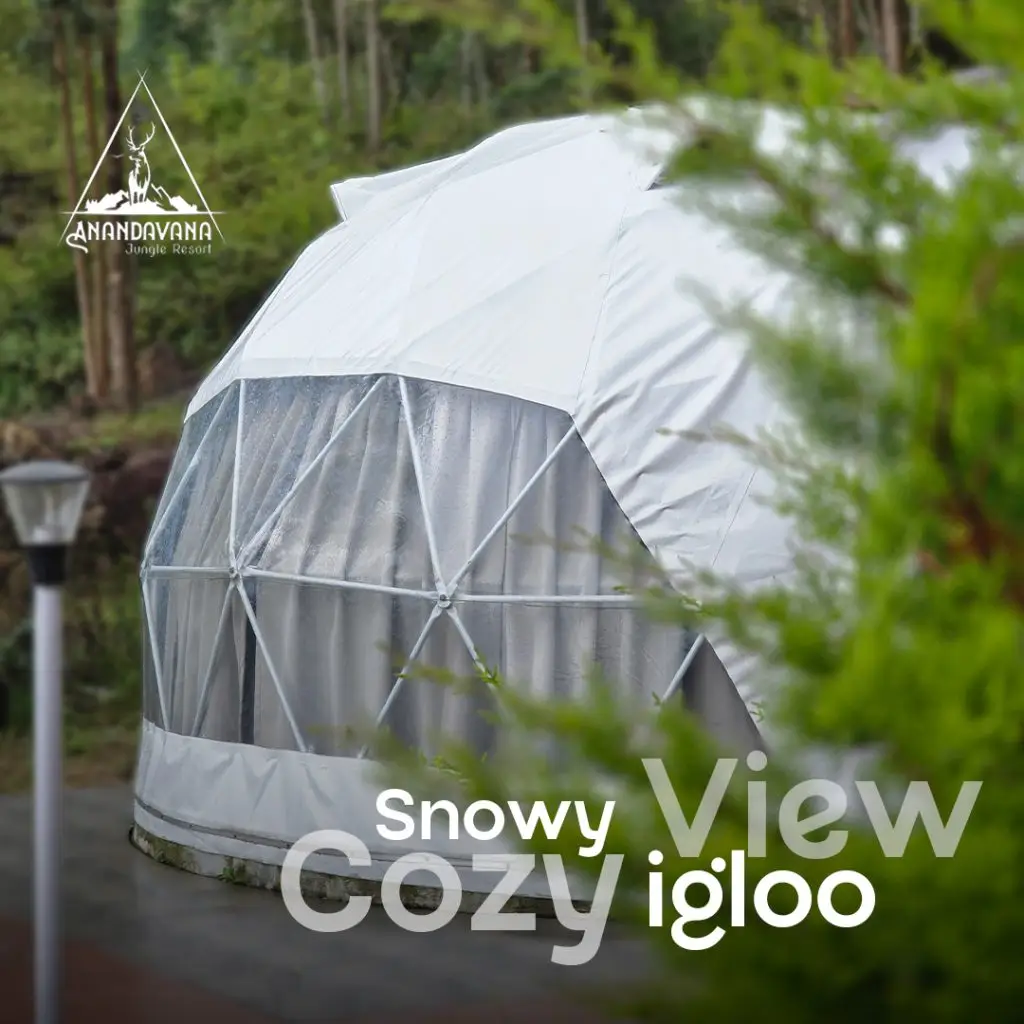 Igloo